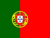 Portuguese Flag